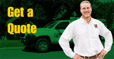 Bulwark Wins Angi Super Service Award 12 Get A Pest Control Quote