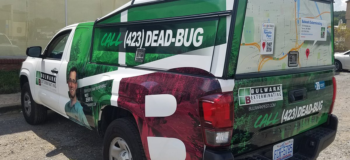 Tennessee - Chattanooga Pest Control 2 Bulwark Chattanooga Pest Control