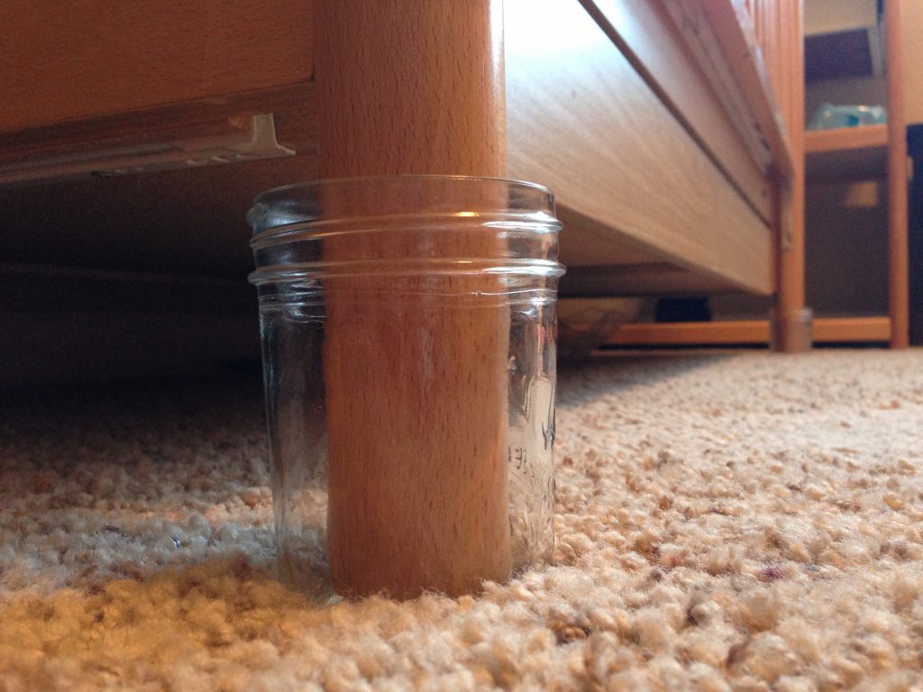 Can Scorpions Climb 1 Crib Jar Scaled 1