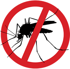 Mosquito 1