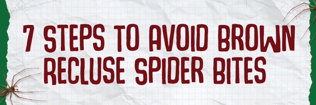 Brown Recluse Header A 1