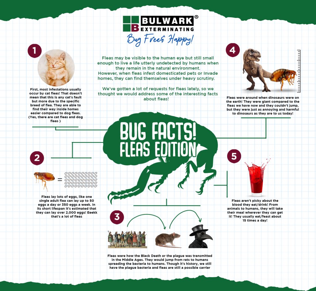 Infographic 2 (1) Infographic 6