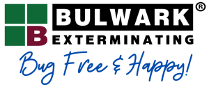 Cropped Bulwark