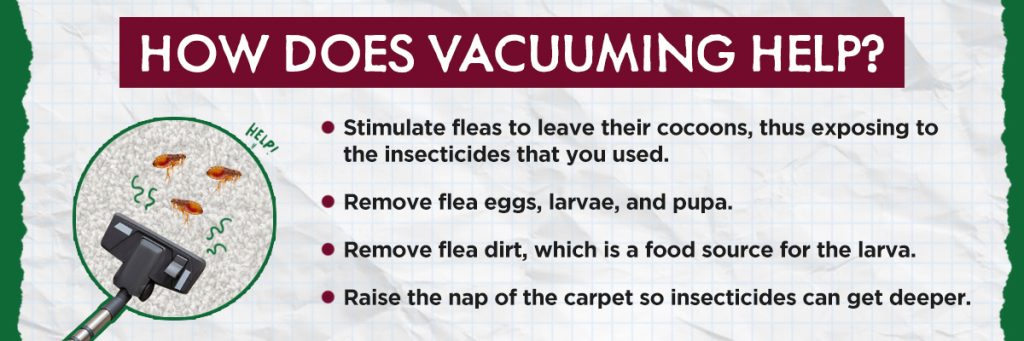 Flea Blog Content Flea Blog Content 3 2