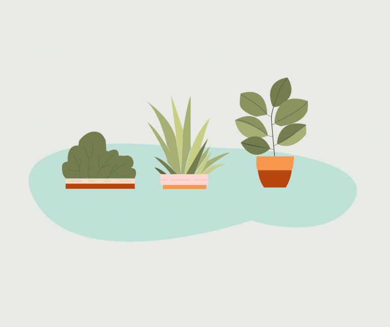 Plants Plants 768X644 5