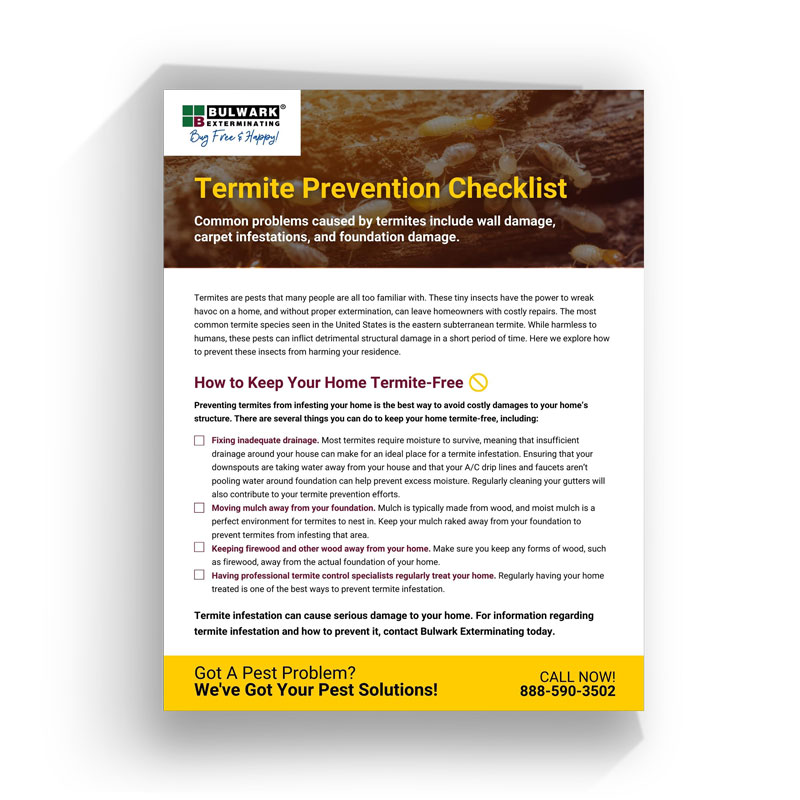 Bulwark Termite Prevention Mockup