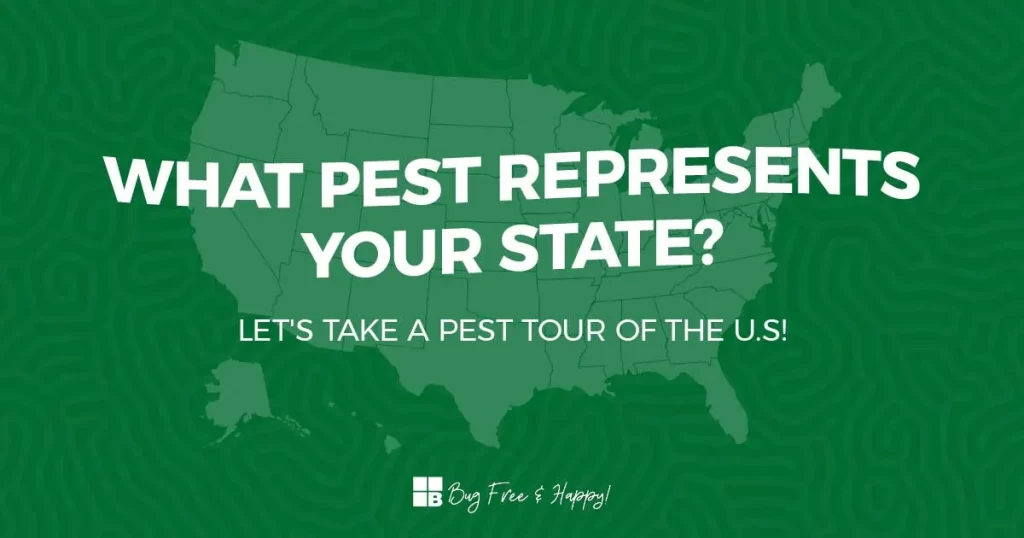 Bulwarkpestbystateartboard 11200X630 1 1