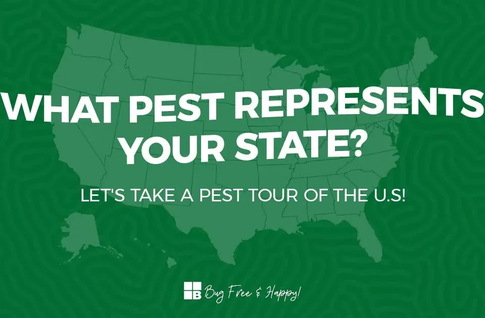 Bulwarkpestbystateartboard 11200X630 1 1