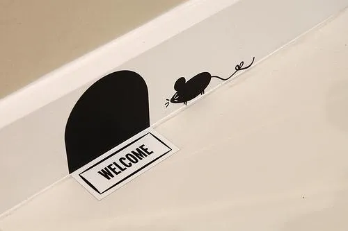 Protect From Rodents